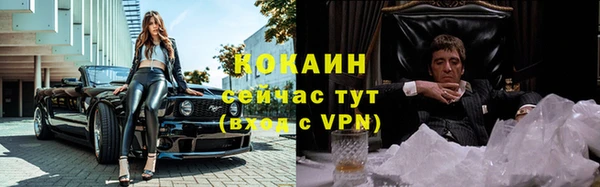 a pvp Богданович