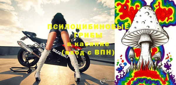 дмт Богородск