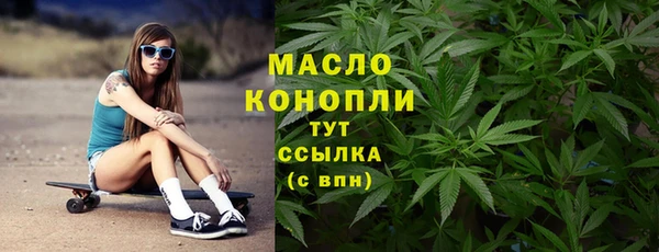 дмт Богородск