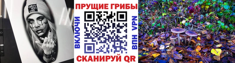 Галлюциногенные грибы прущие грибы  Купить  Балахна 
